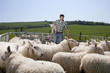 Shepherd holding lamb in pasture
