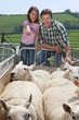 Shepherd and daughter counting sheep in gated pasture