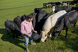 Farmer feeding cattle in sunny rural field