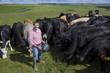 Portrait of smiling farmer feeding cattle herd in sunny rural field