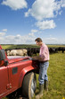 Farmer using laptop on truck among cattle herd in sunny rural field
