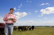 Farmer using digital tablet in sunny rural field with cattle