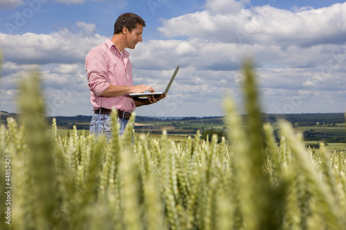 Photo: Farmer using laptop in young wheat field Farmer using laptop in young wheat field