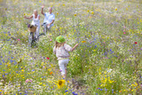 Photo: Senior couple standing with bicycles on path through wildflowers in field greeting granddaughter Senior couple standing with bicycles on path through wildflowers in field greeting granddaughter