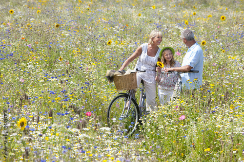 Photo: Senior couple standing with bicycles in field of wildflowers with granddaughter Senior couple standing with bicycles in field of wildflowers with granddaughter