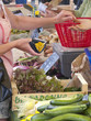 Woman holding coin purse buying vegetables from market