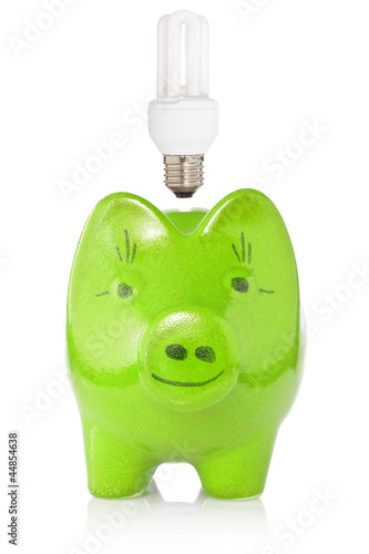 Photo: Green piggy-bank with lightbulb Green piggy-bank with lightbulb