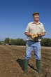 Foto: Smiling farmer holding potatoes in sunny, rural field Smiling farmer holding potatoes in sunny, rural field
