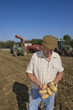 Foto: Farmer inspecting potatoes in sunny, rural field with tractors in background Farmer inspecting potatoes in sunny, rural field with tractors in background
