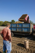 Foto: Farmer watching potatoes empty into trailer in sunny, rural field Farmer watching potatoes empty into trailer in sunny, rural field