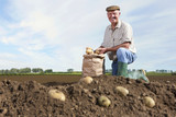 Photo: Portrait of smiling farmer kneeling next to sack of potatoes in sunny, rural field Portrait of smiling farmer kneeling next to sack of potatoes in sunny, rural field