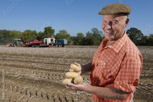 Photo: Portrait of smiling farmer holding potatoes in sunny, rural field Portrait of smiling farmer holding potatoes in sunny, rural field