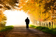 nordic walking