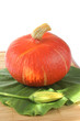 Hokkaido-Kürbis