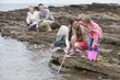Family fishing on rocks with nets