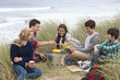 Teenage friends enjoying barbecue in grass on beach