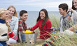 Teenage friends enjoying barbecue in grass on beach