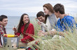 Teenage friends enjoying barbecue in grass on beach