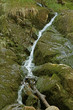 Rinnsal am kleinen Arbersee