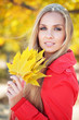 Autumn series