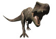Attaque de tyrannosaure