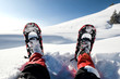 Schneeschuhe