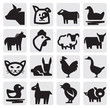 farm animals