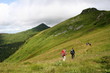 Cantal