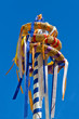 Foto: Volksfest Volksfest