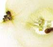 Foto: apple slice apple slice