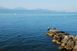 Lac Léman, Suisse
