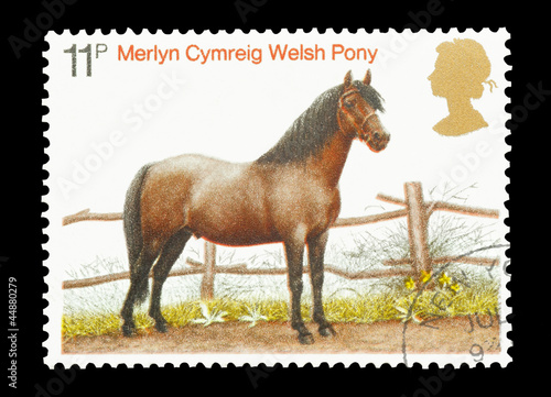 Photo: Mail stamp printed in the UK featuring a Welsh pony, circa 1978 Mail stamp printed in the UK featuring a Welsh pony, circa 1978