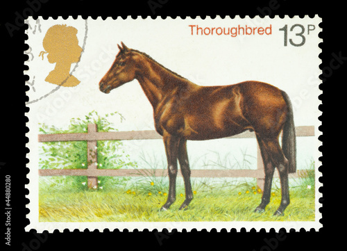 Photo: UK stamp featuring a thoroughbred horse, circa 1978 UK stamp featuring a thoroughbred horse, circa 1978