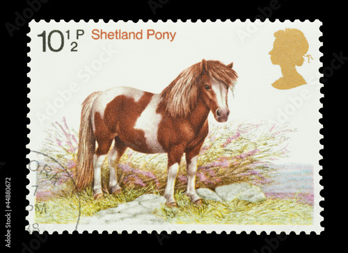 Photo: Mail stamp from the UK featuring a Shetland pony, circa 1978 Mail stamp from the UK featuring a Shetland pony, circa 1978