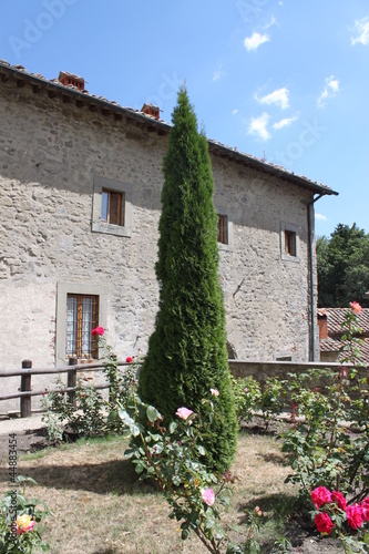 Photo: cipresso cipresso