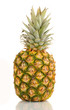 pineapple isolated on white