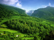 pyrenees
