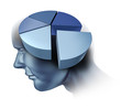 Analyzing The Human Brain