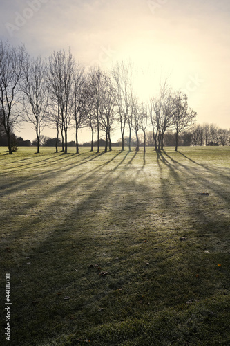 Photo: golf course golf course