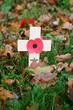 remembrance day