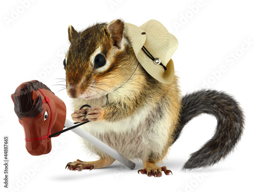 Photo: Funny chipmunk cowboy with stick horse Funny chipmunk cowboy with stick horse