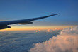 Urlaubs Flieger