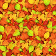 Autumn leaves. Vector illustration
