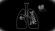 Human Lung structure animation illustration