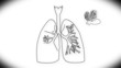Human Lung structure animation illustration