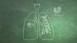 Human Lung structure animation illustration