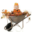 Photo: Wheelbarrow Full of Baby Wheelbarrow Full of Baby