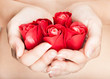 Hands are full of rosebuds