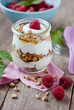 knuspermüsli mit joghurt und honig I