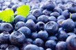 Blaubeeren